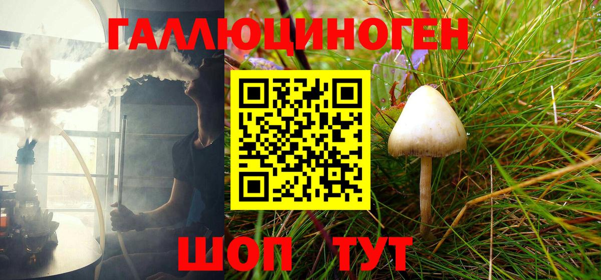 Псилоцибиновые грибы ЛСД  Псилоцибиновые грибы Psilocybine cubensis  Тайшет  Вход с VPN 