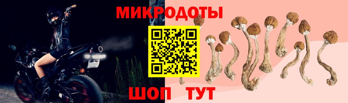 Галлюциногенные грибы прущие грибы Тайшет